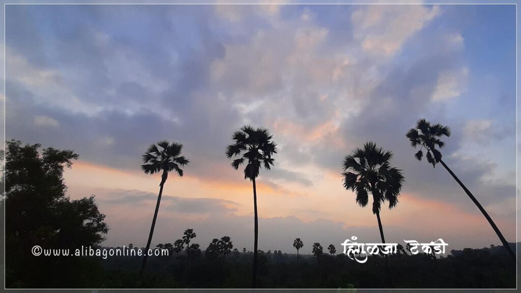 Palm Trees @ Hingulja Hilla, Chaul