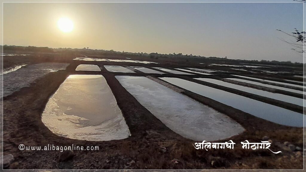 Salt Pans near Alibag