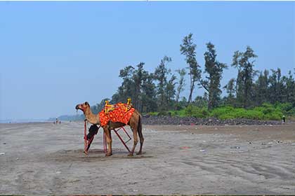 Nagaon Beach