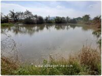 Fisheries Pond