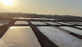 Salt Pans @Alibag