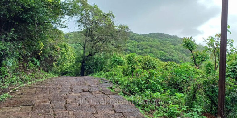 Jungle Safari Kankeshwar Hills