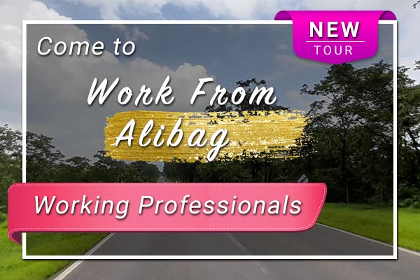 Work from Alibag Tour