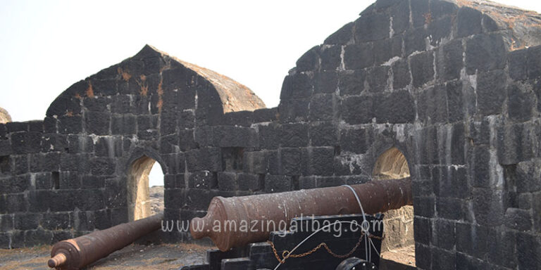 Padmadurga fort - canon